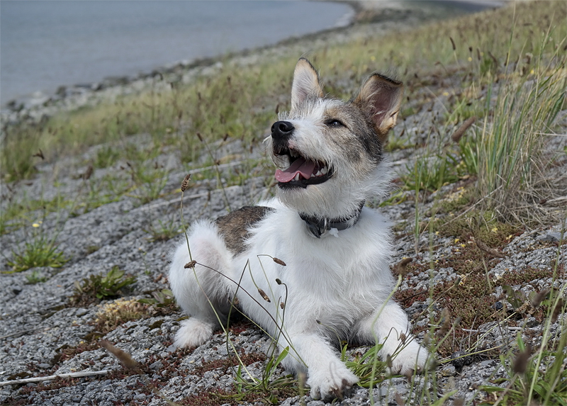 1 -- Felix Holland 6 - 2013 _SAM_1835 als Smart-Objekt-1 Kopie.jpg